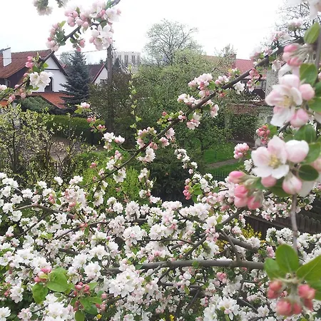 Sloneczny Apartament Z Balkonem Apartamento *