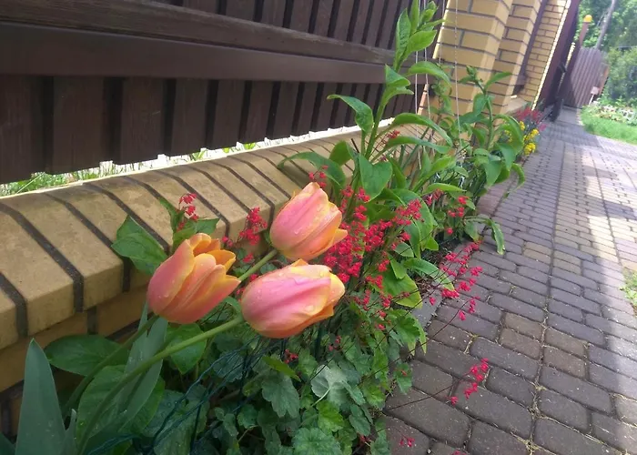 Sloneczny Apartament Z Balkonem * Danzig