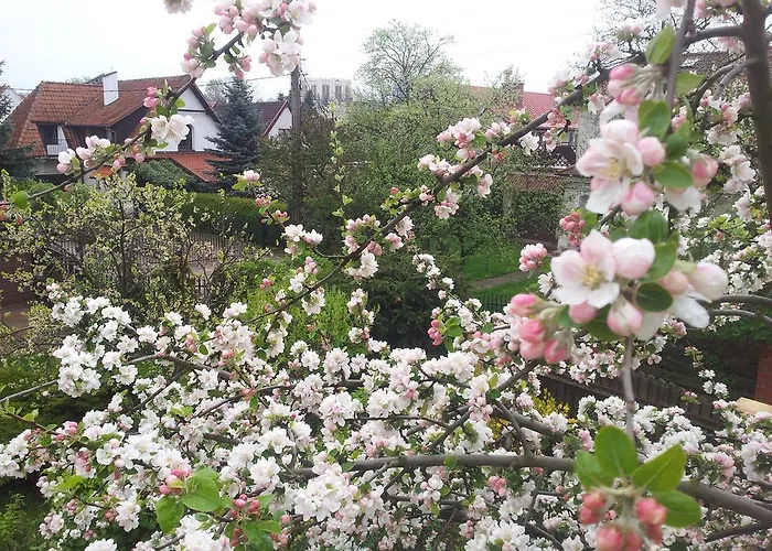 Sloneczny Apartament Z Balkonem Apartment *