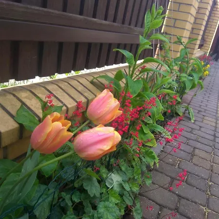 Sloneczny Apartament Z Balkonem * Gdańsk